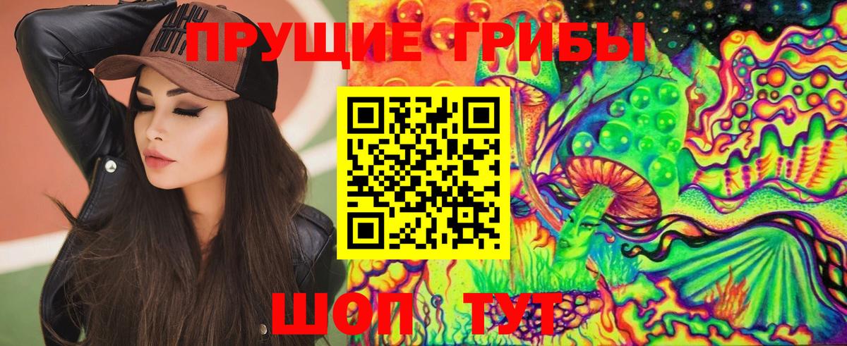 Псилоцибиновые грибы Cubensis Алейск
