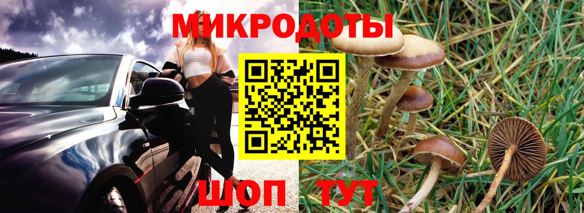 Алейск  Псилоцибиновые грибы GOLDEN TEACHER  Вход с VPN 